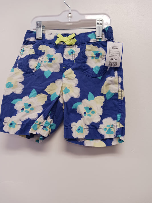 Blue/White Flower Jumping Bean Shorts, 5T G