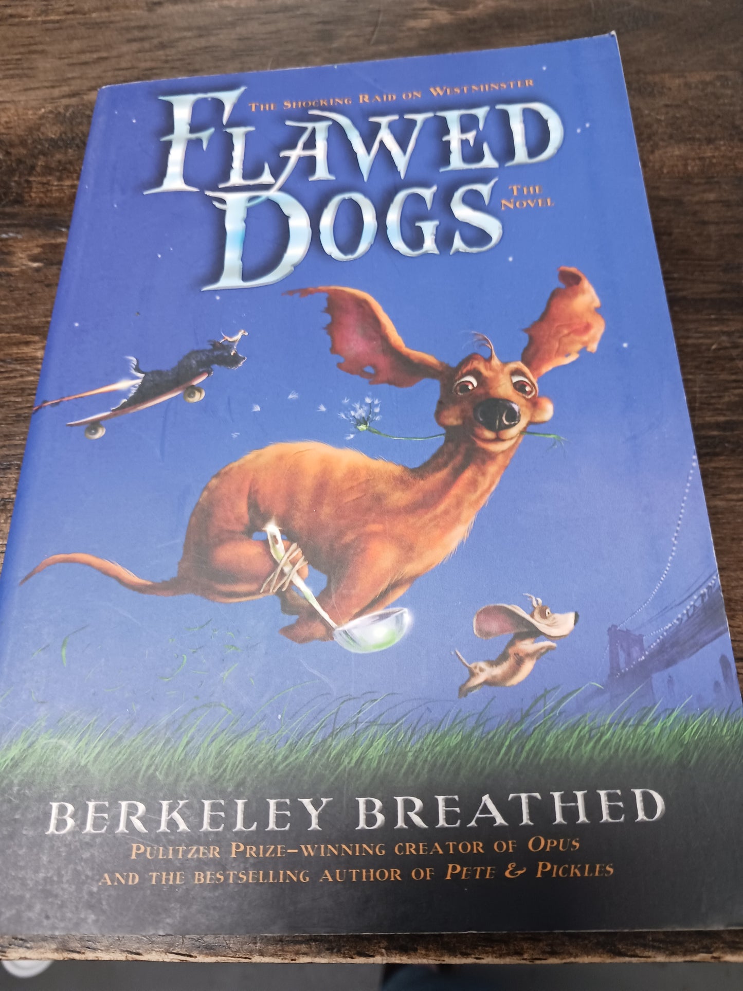 Flawed Dogs