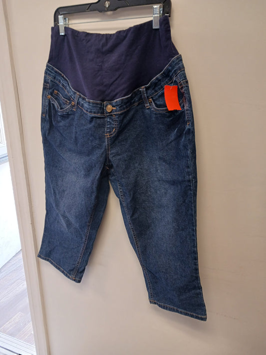Blue Jean Hybrid & Company Maternity Pants, 1X