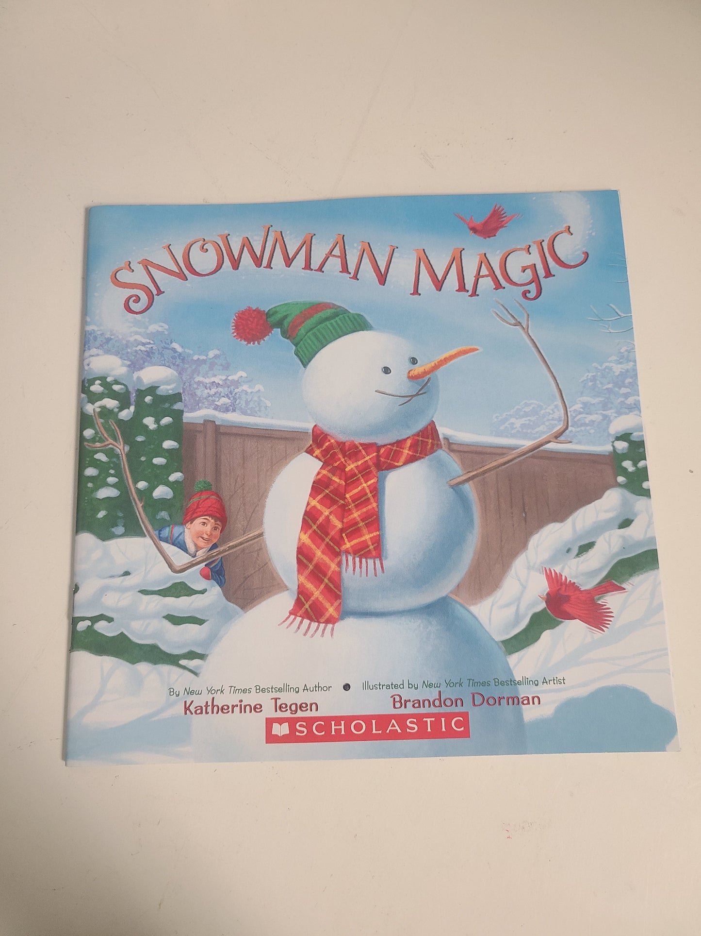 Snowman Magic Book