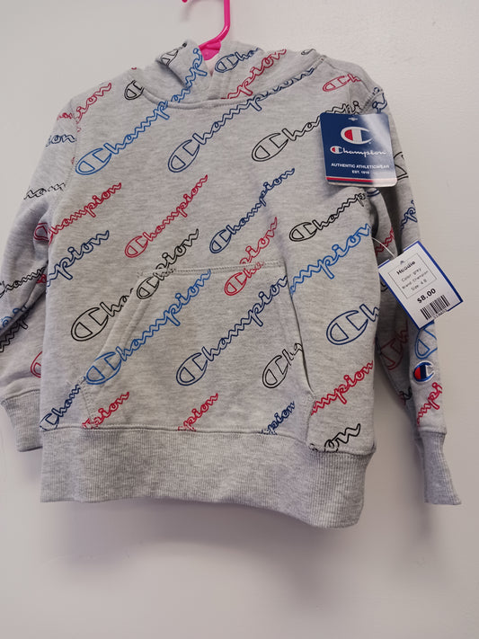 grey Champion Hoodie, 4 B