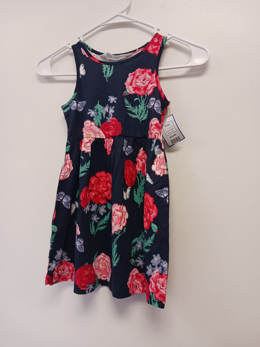 Navy/Pink/Red Flower H&M Dress, 2T G