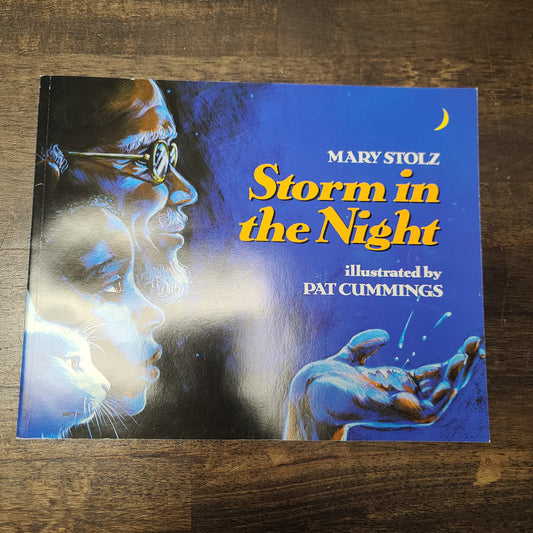 Storm In The Night Book