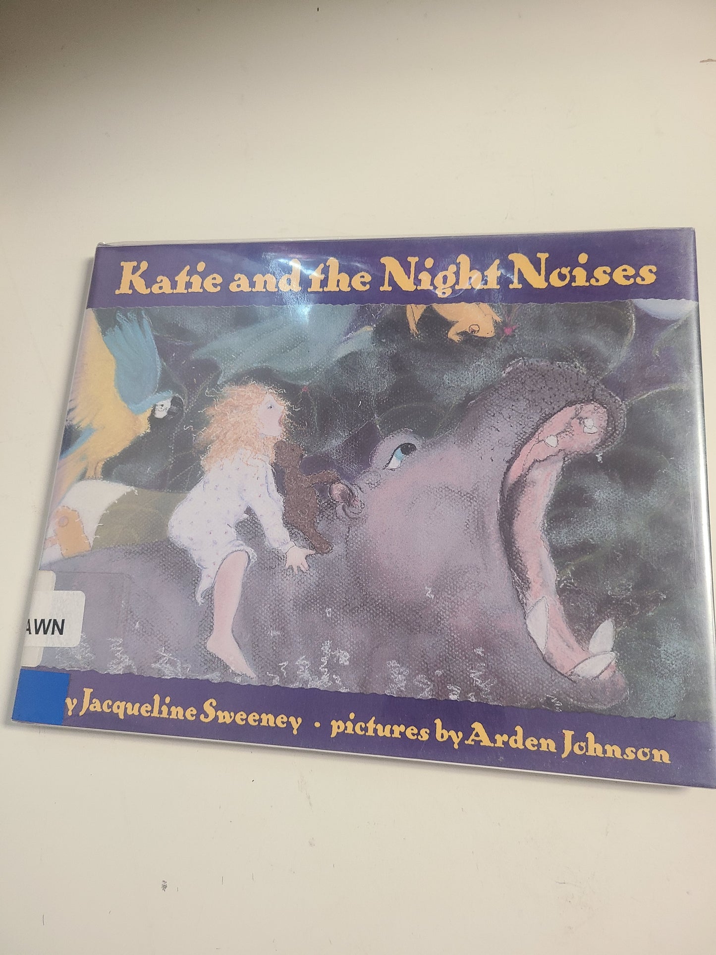 Katie and the Night Noises