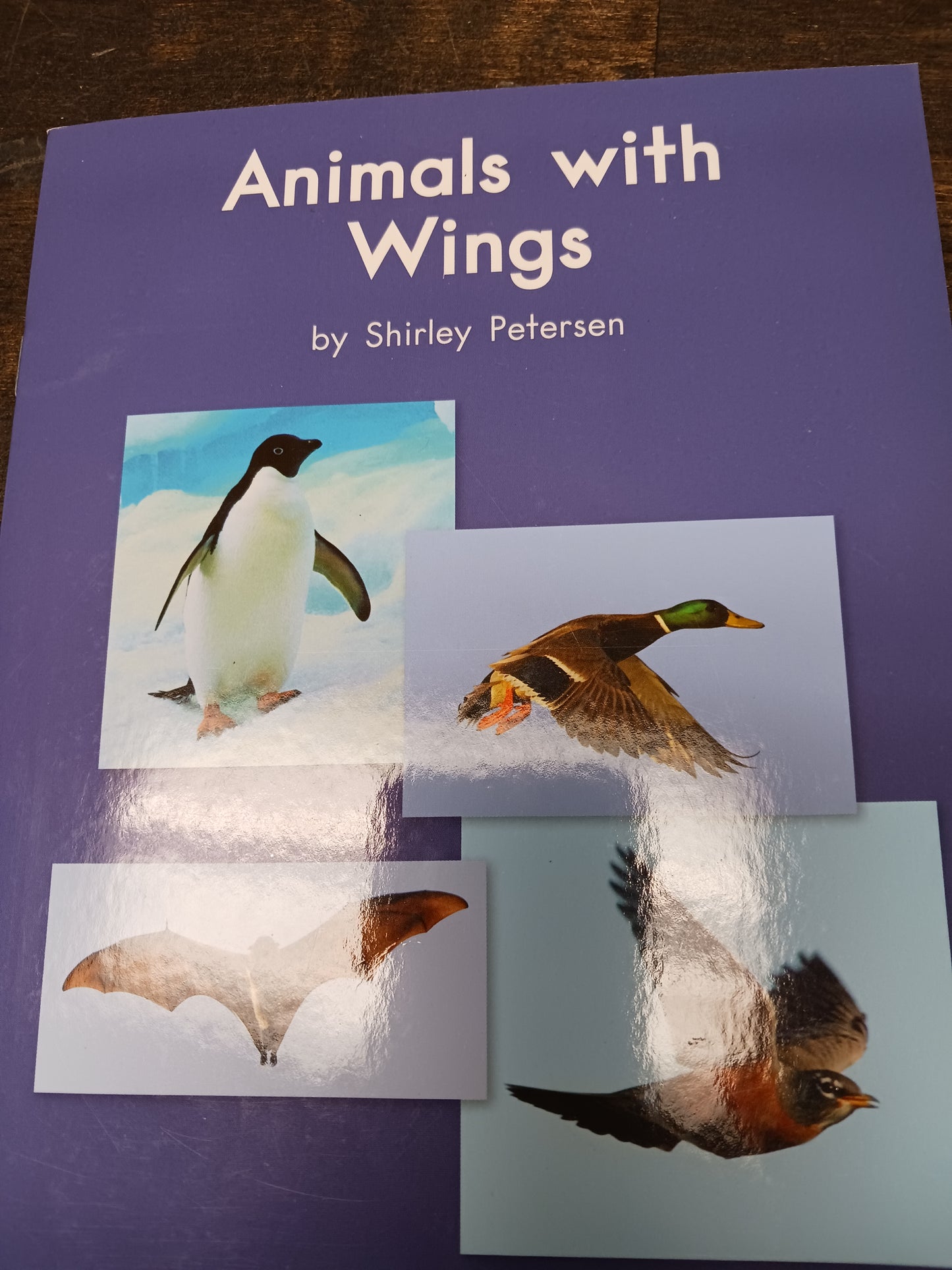 Animals With Wings Book