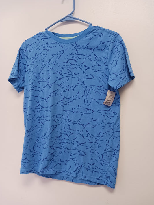 Blue Cat & Jack Shark Tshirt 12/14, 12 B
