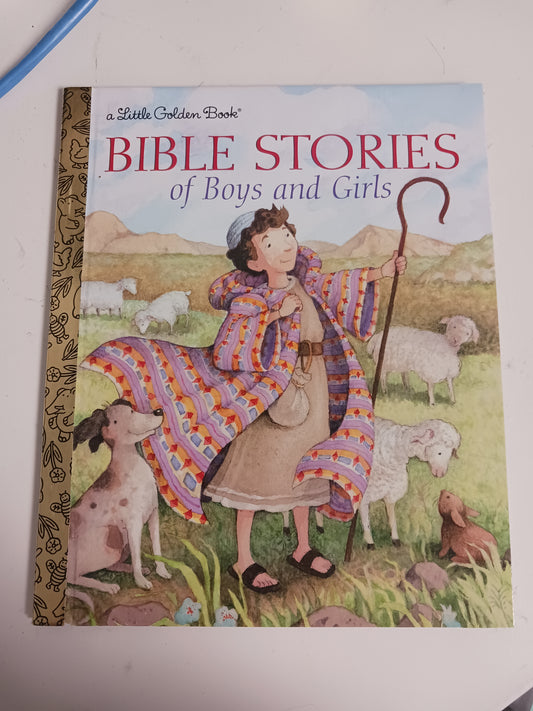 Bible Stories Of Boys And Girls Book