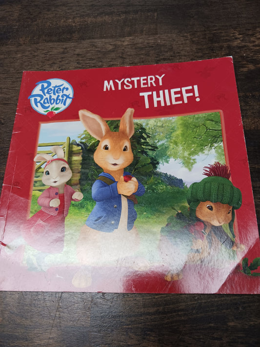 Mystery Thief Book
