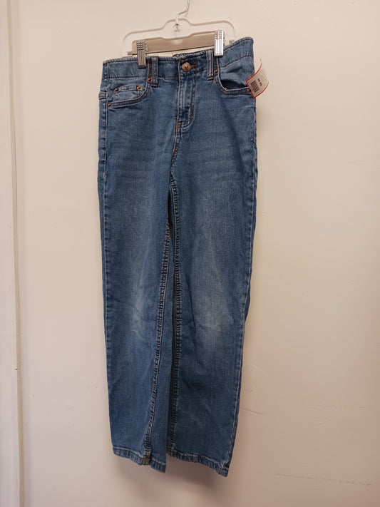 Blue Jean Architect Pants, 10 B