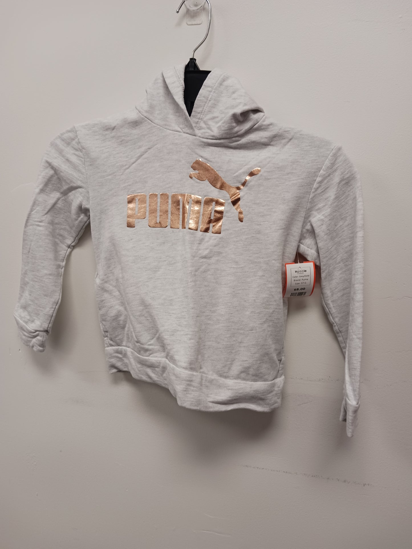Grey/Gold Puma Hoodie, 5T G