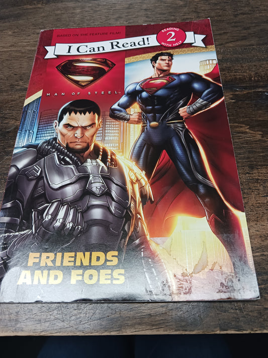 Friends And Foes Book
