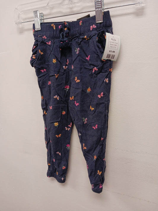Navy Flower H&M Pants, 2T G