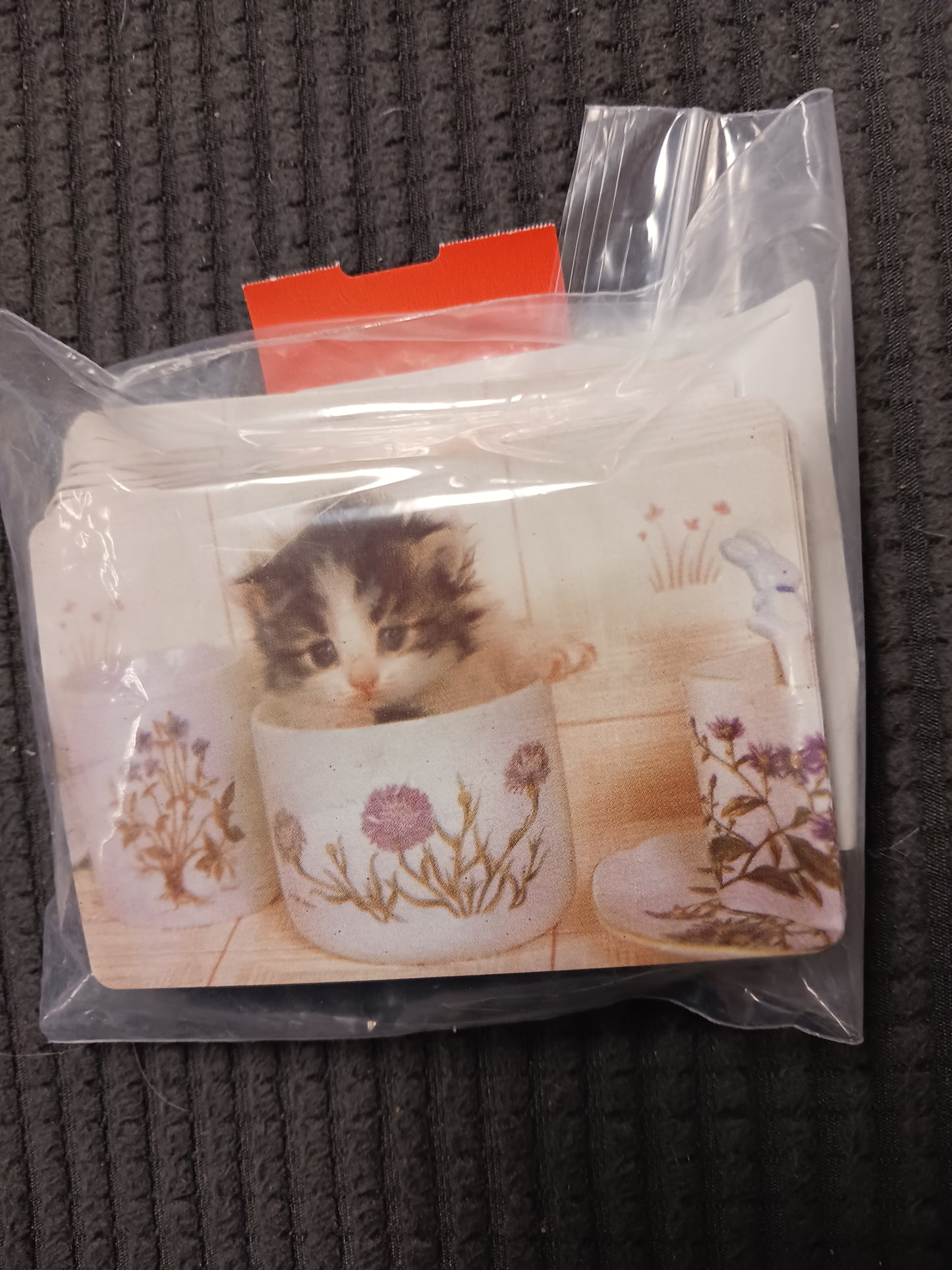 Kitten Playing Cards