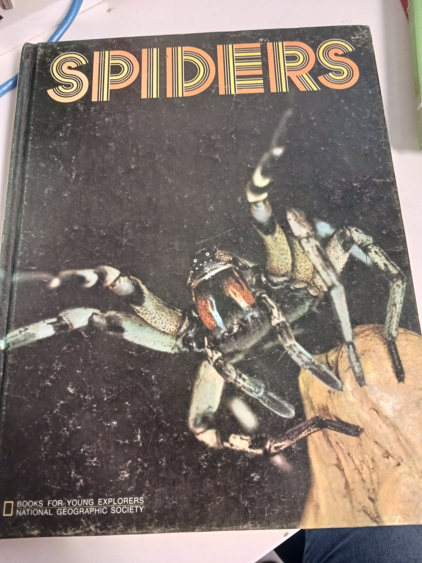 Spiders Book