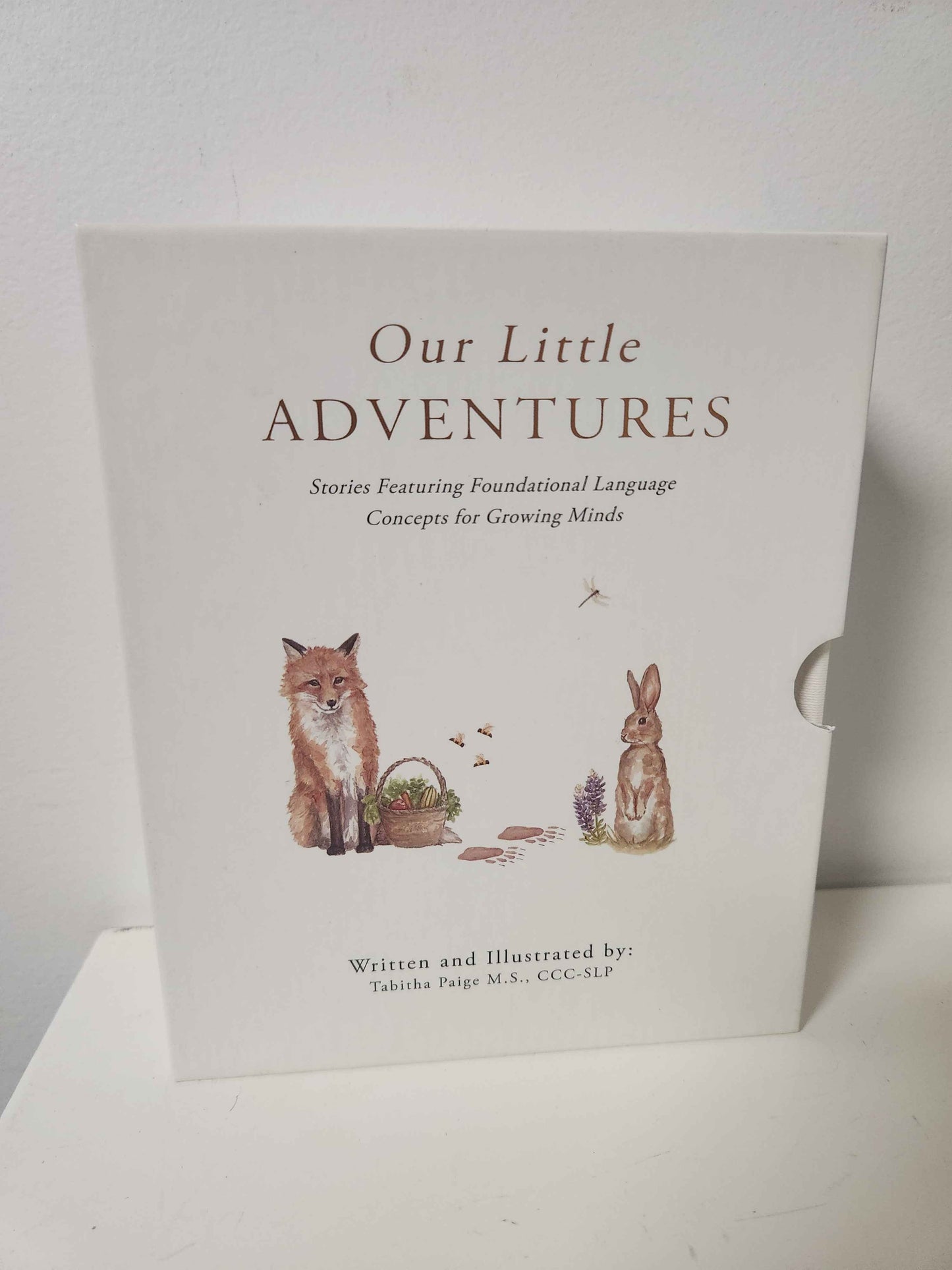 Our Little Adventures Book Set(3)