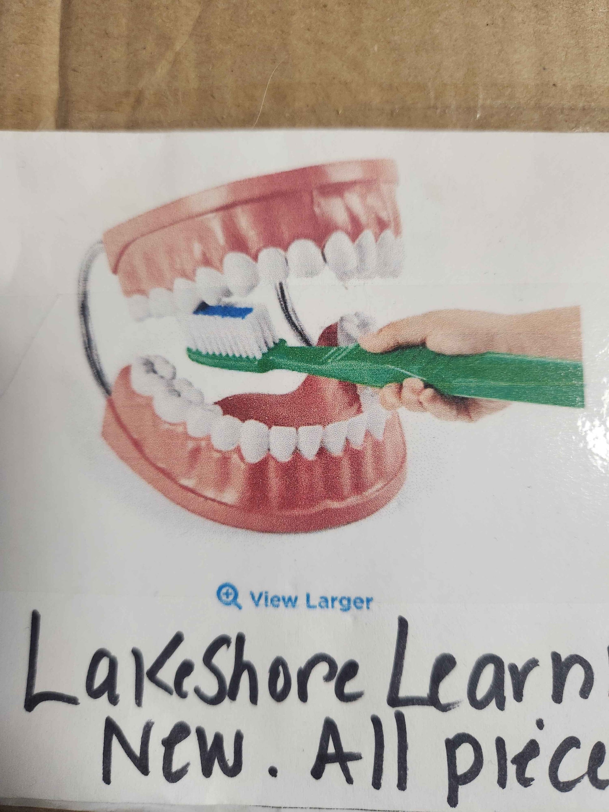 Lakeshore Learning Learn To Brush Demonstration Kit