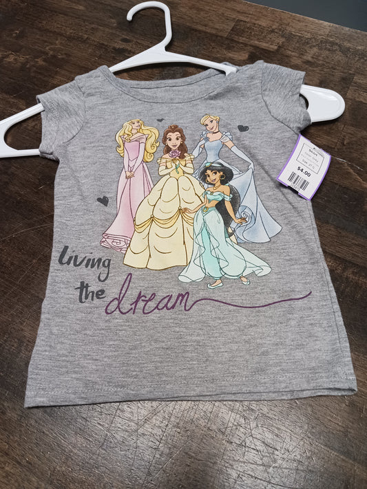 Grey Disney Princess Shirt, 2T G
