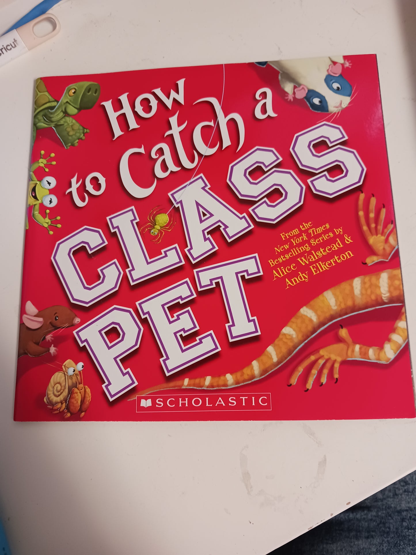 How to Catch a Class Pet