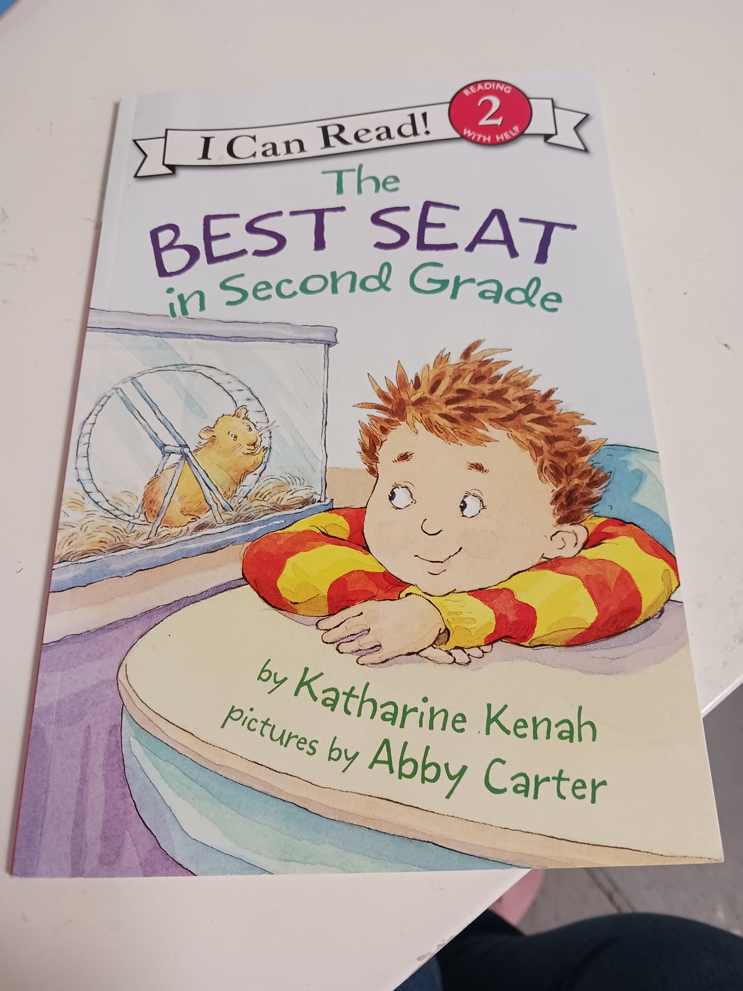 The Best Seat In Second Grade Book