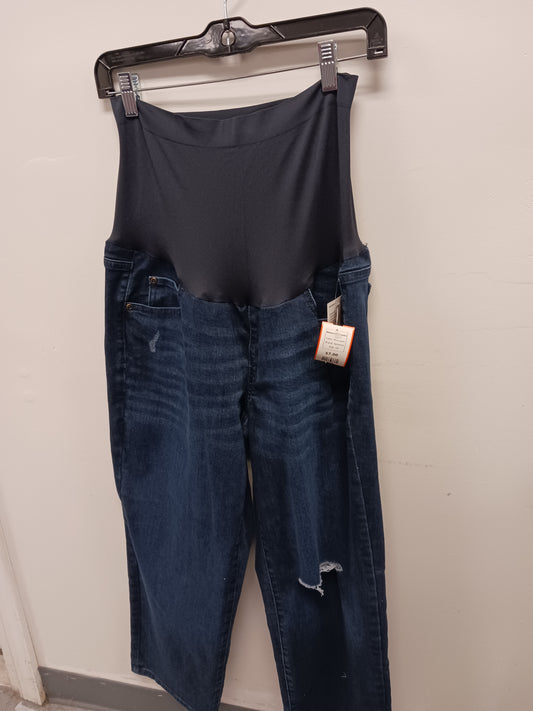 Blue Jean Sonoma Maternity Pants, 14