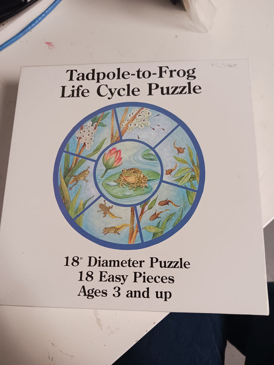 Tadpole-to-Frog Life Cycle Puzzle