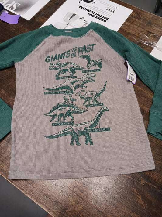 grey/green Jumping Bean Dinosaur Tshirt, 5T B