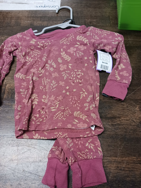 rose Modern Moments 2 Piece flowered PJS, 12M G