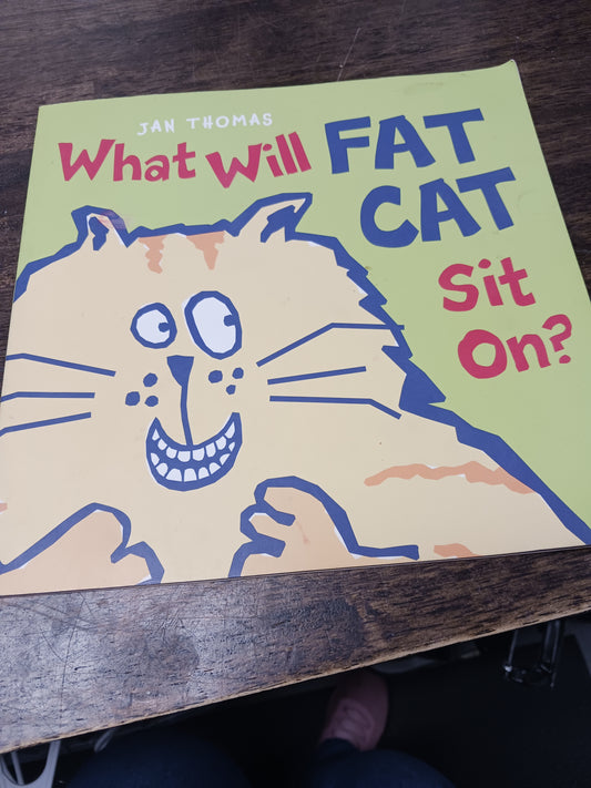 What will fat cat sit on book