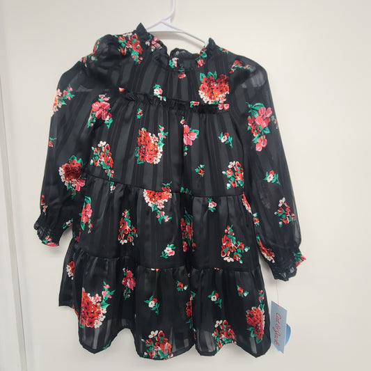 Black/Red Flower Cat & Jack Dress, 4T G