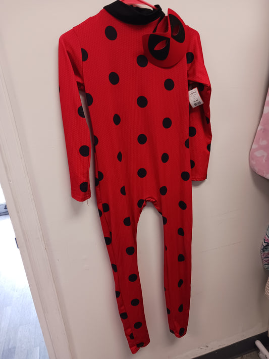 red/black  Lady Bug