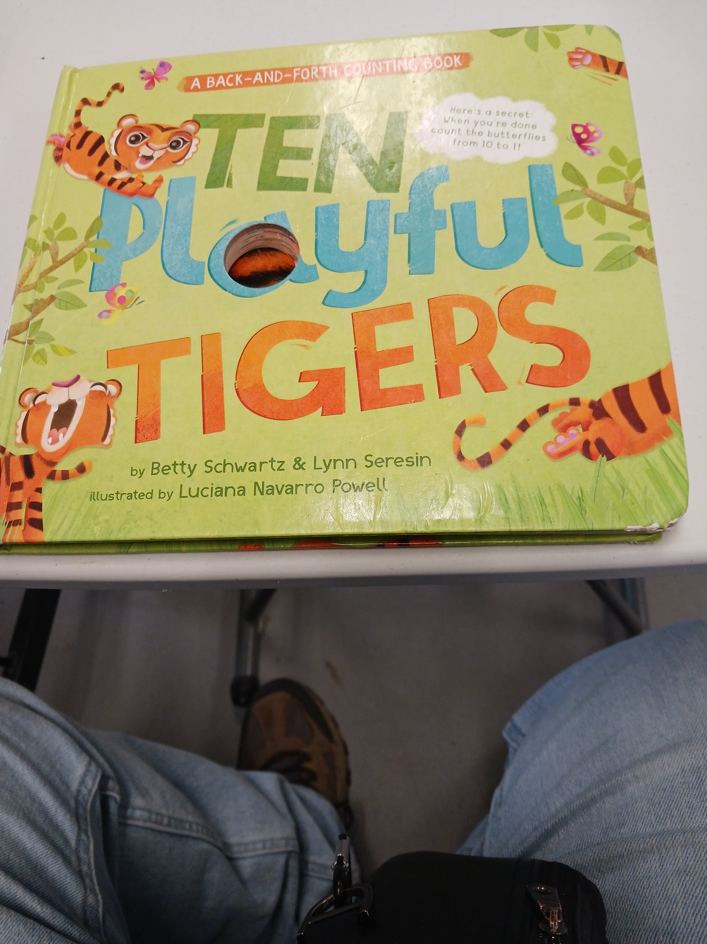 Ten Playful Tigers Book