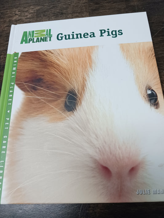 Guinea Pigs