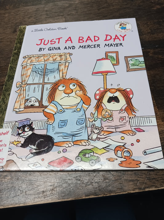 Just A Bad Day Book