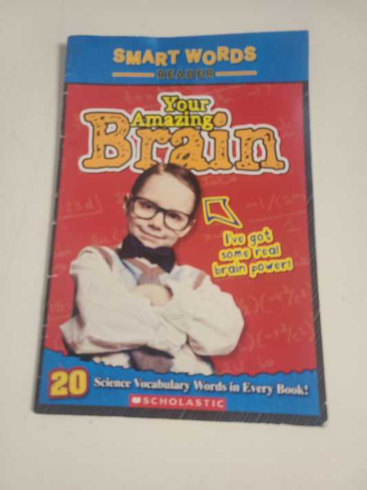 Your Amazing Brain