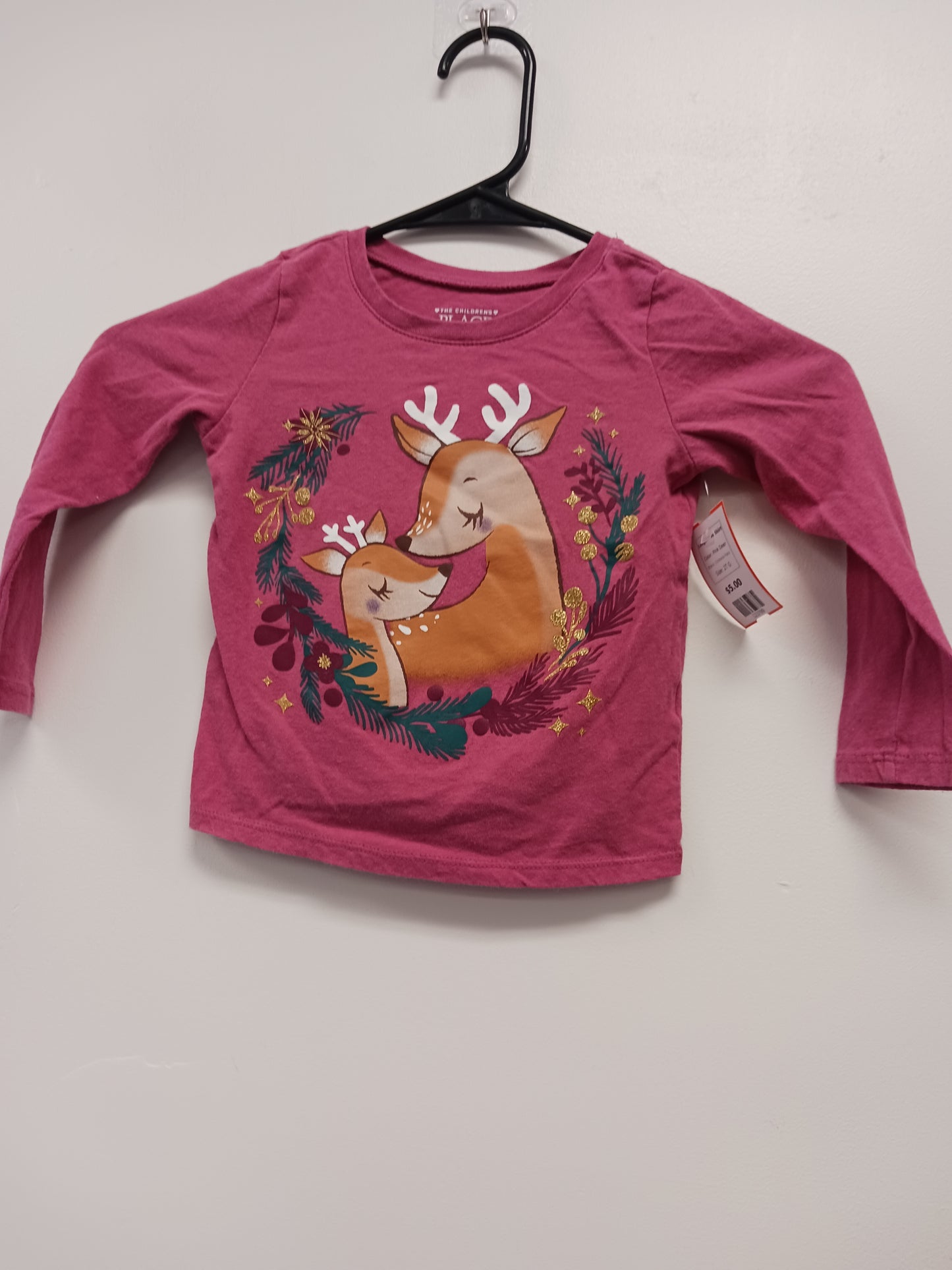Pink Deer Childrens Place Longsleeve Shirt, 2T G