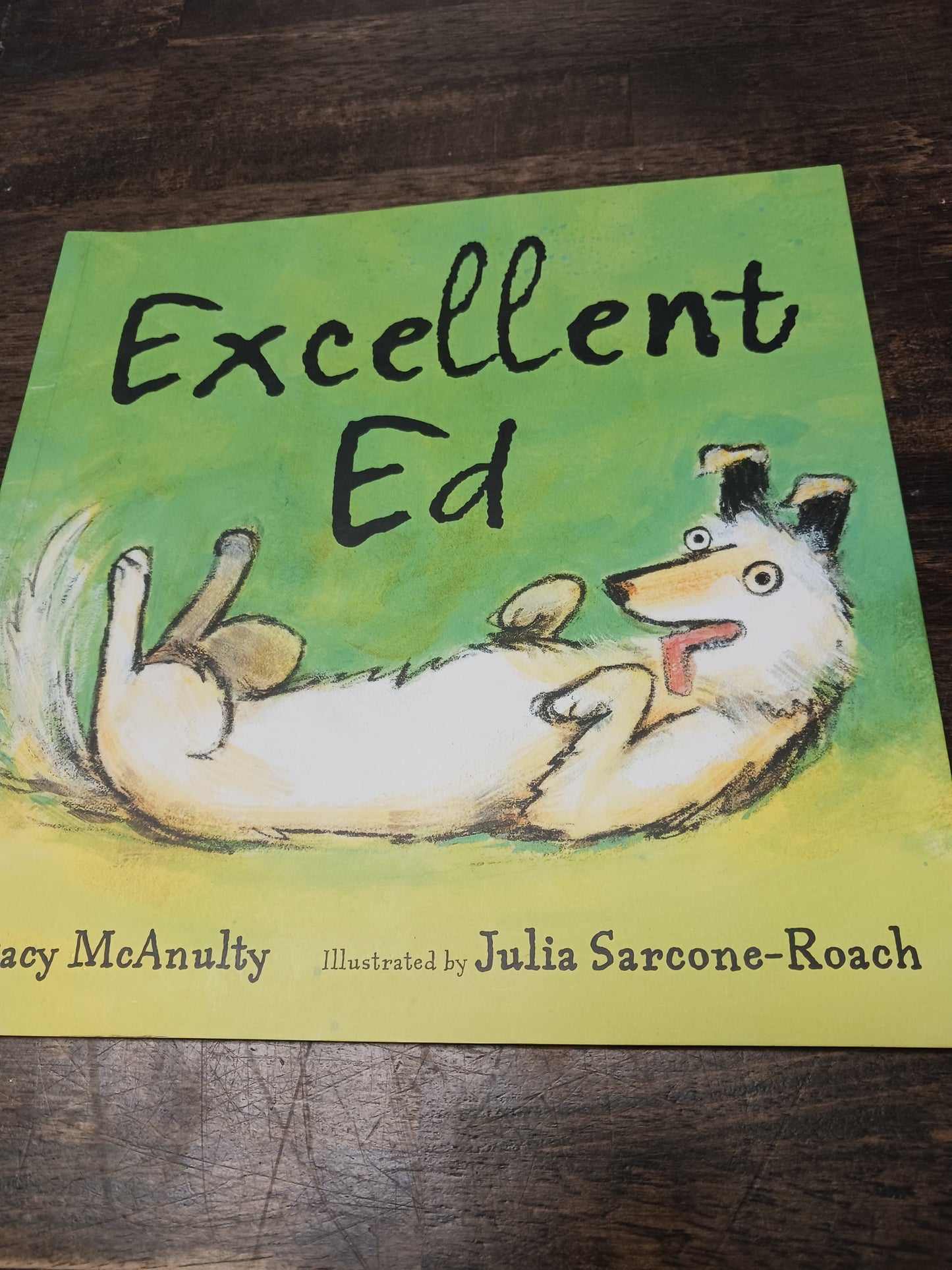 Excellent Ed Book