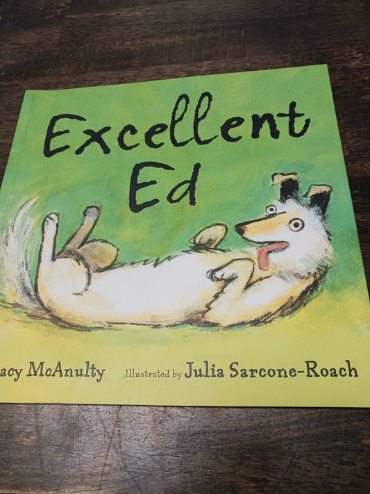 Excellent Ed Book