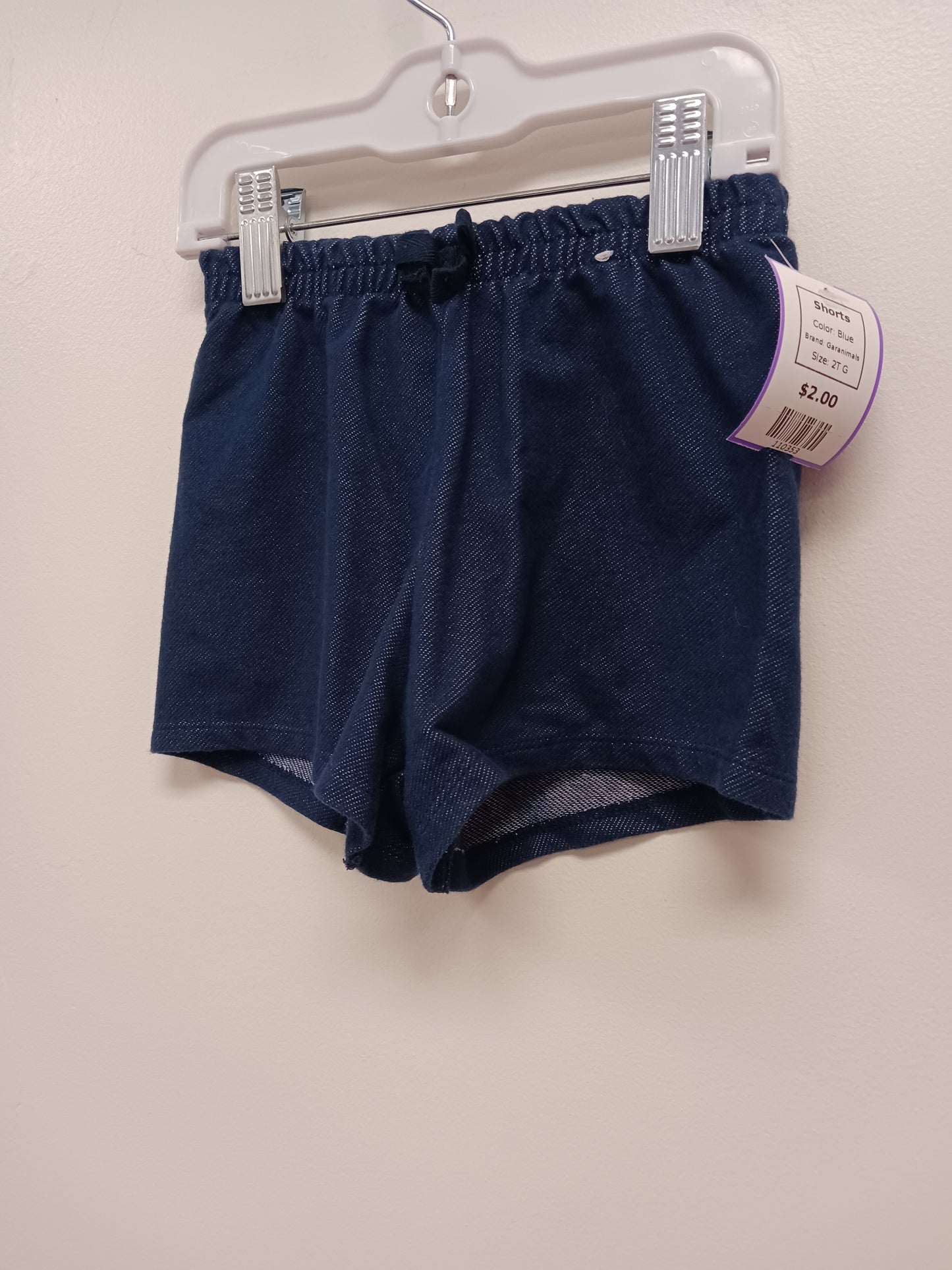 Blue Garanimals Shorts, 2T G