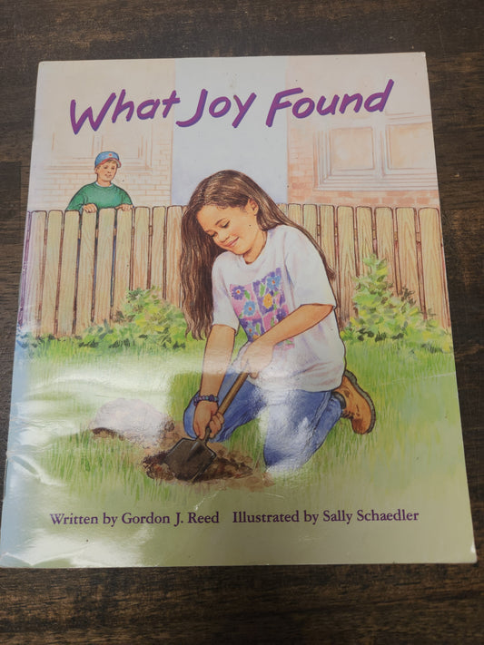 What Joy Found Book