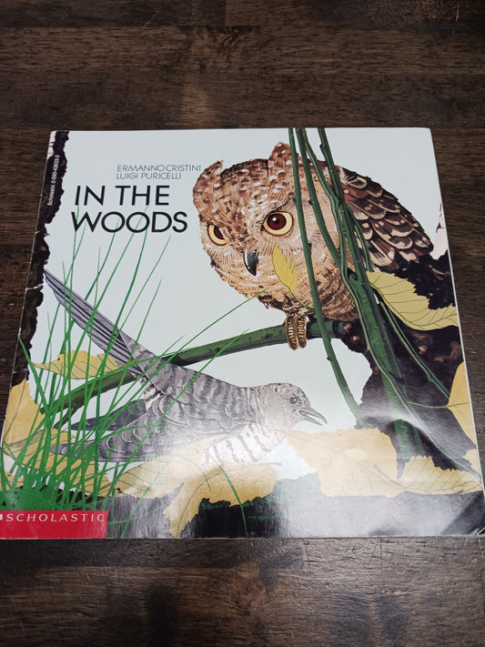 In The Woods Book