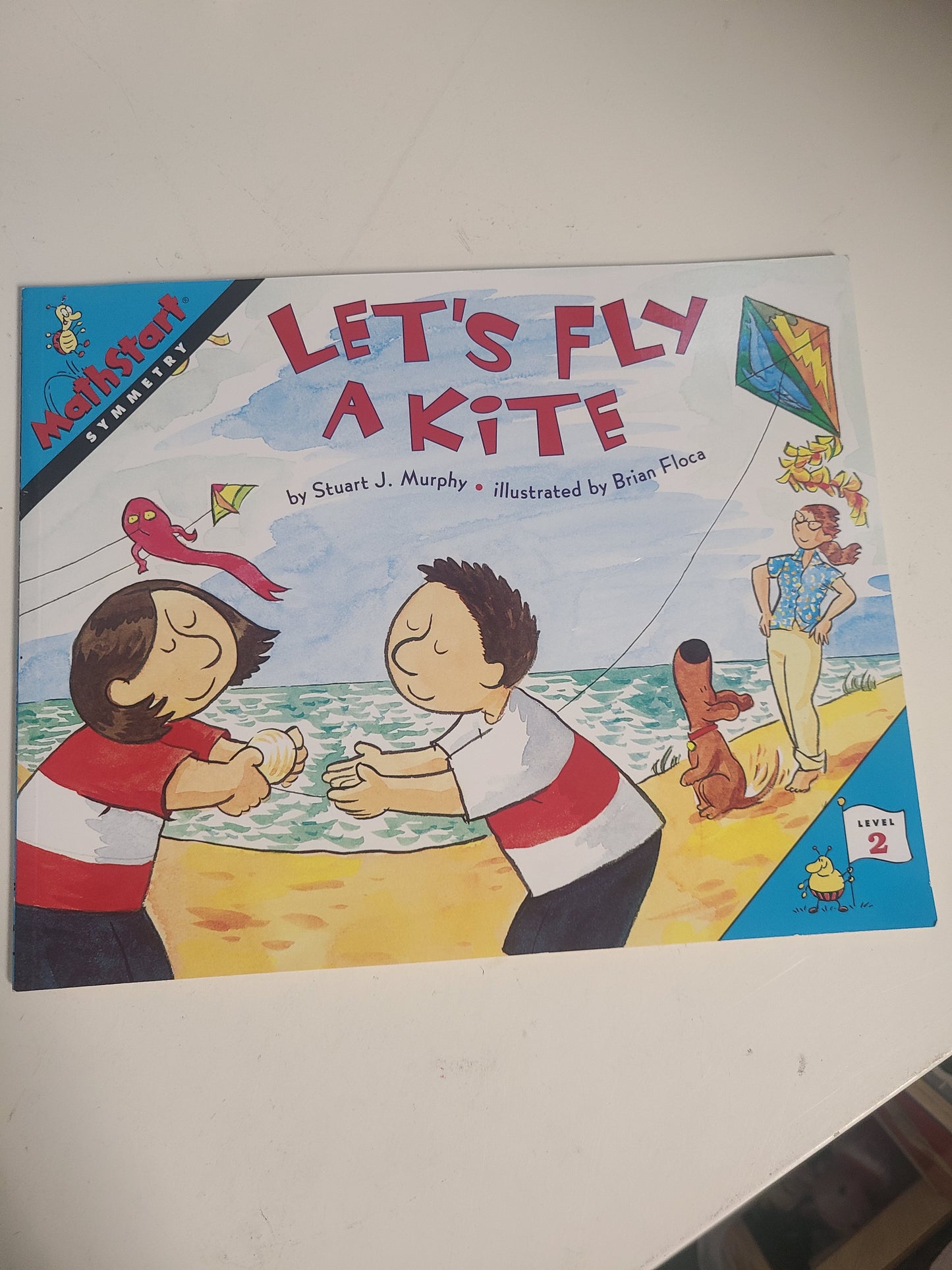 Let's Fly A Kite Book