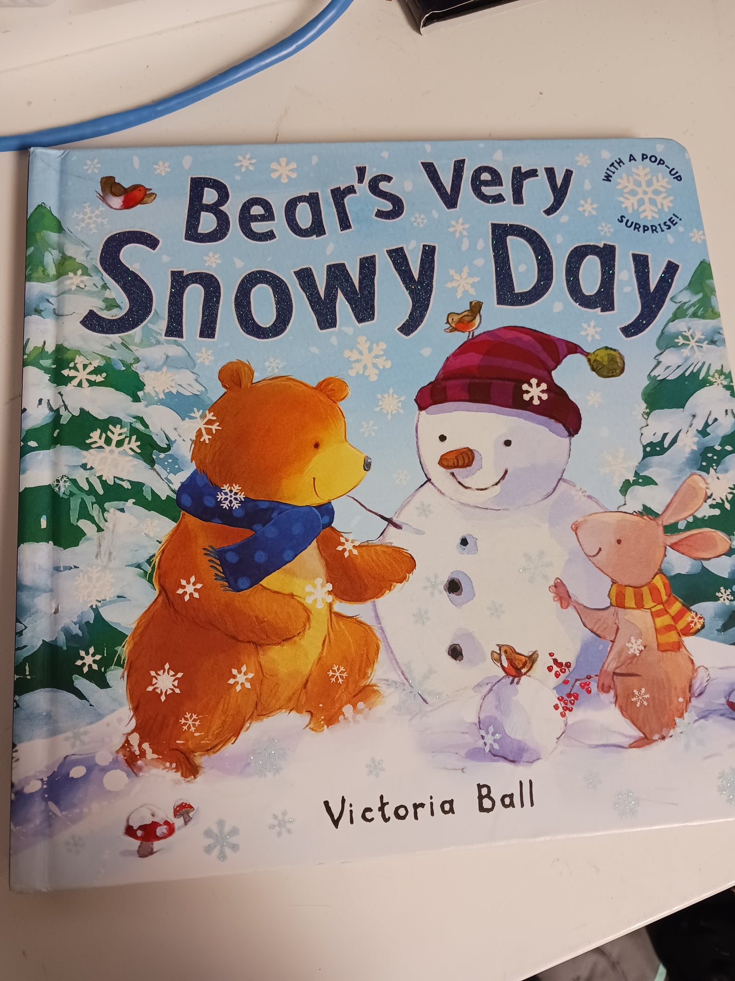 Bear's Very Snowy Day Book