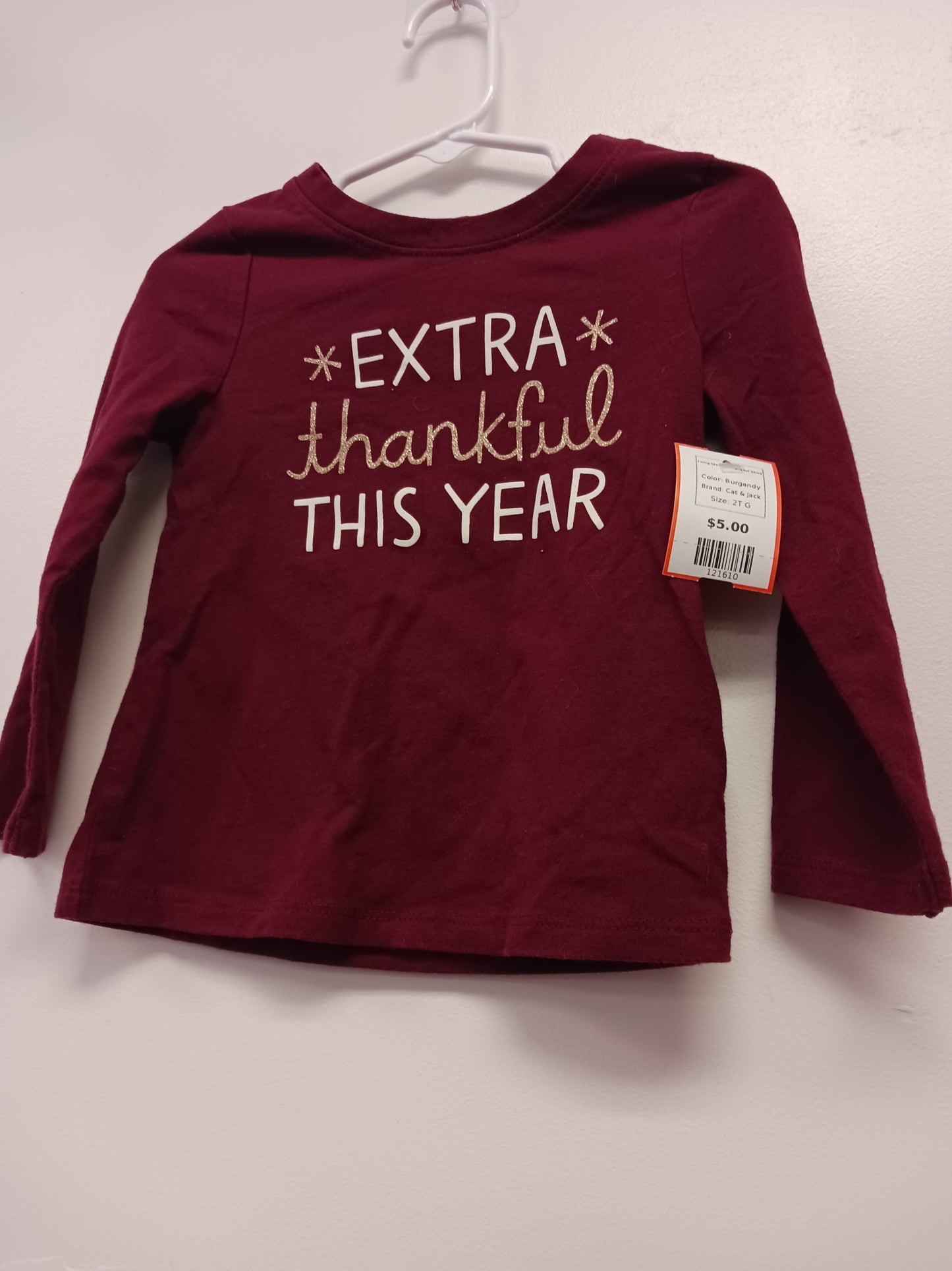 Burgandy Cat & Jack Long Sleeve Thankful Shirt, 2T G