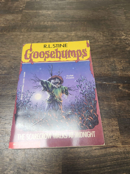 The Scarecrow Walks At Midnight Book