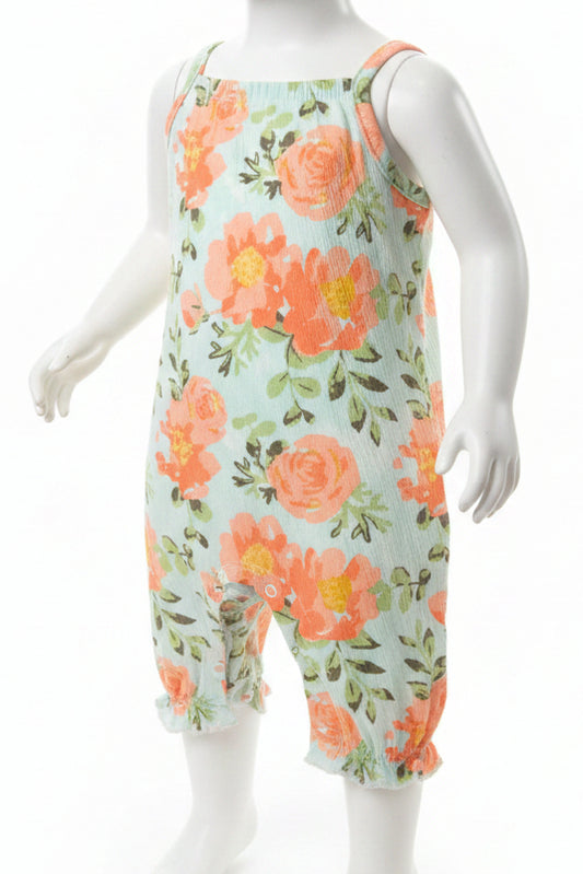 Blue/Pink Flower Sterling Baby Pant One Piece, 3M G